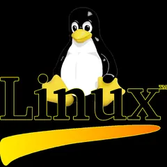 Console image